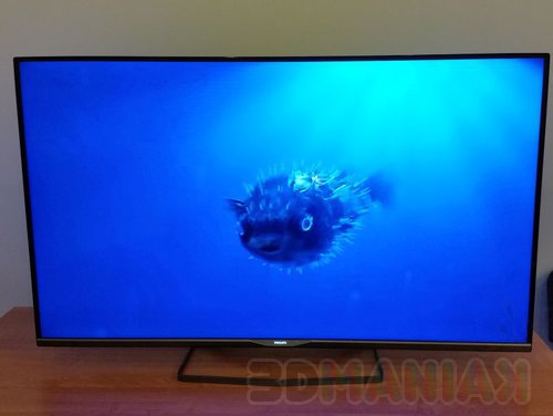 Philips 55PFH6309 (9)