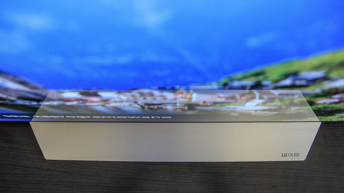LG OLED65E7V / fot. rtvManiaK.pl