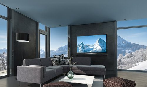 LG OLED 55B8 / fot. LG