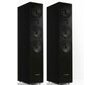 Pylon Audio Opal 30